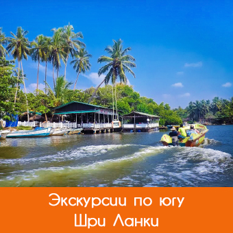 Экскурсии на юге Шри-Ланки: чем заняться на день