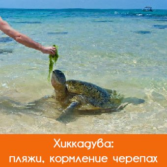 Хиккадува (Hikkaduwa): пляжи, что посмотреть