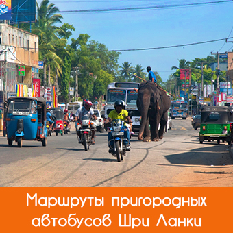Маршруты автобусов Шри-Ланки на карте, поиск на русском
