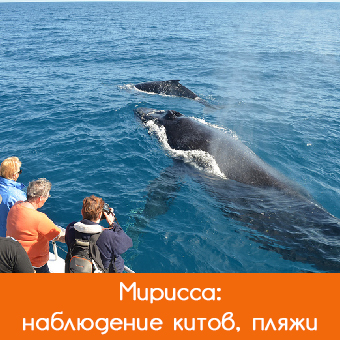 Мирисса (Mirissa): пляжи, погода
