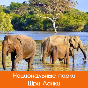 Национальные парки, заповедники: время для посещения