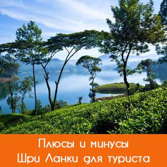 Сравнение плюсов и минусов отдыха в Шри-Ланке