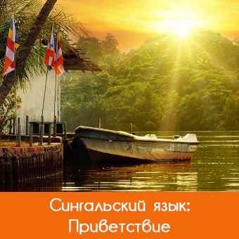 Приветствие: добрый день!