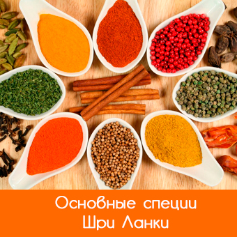 Специи и пряности Шри-Ланки