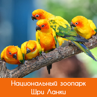Национальный зоопарк Шри-Ланки
