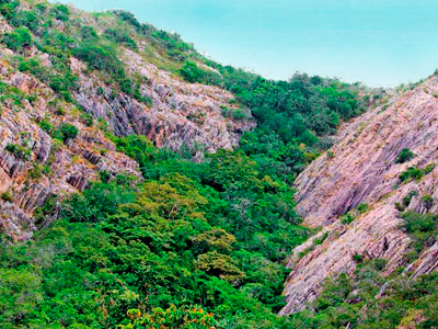 Джатика Намал Уйяна, Дамбулла, Шри Ланка Джатика Намал Уйяна, Дамбулла, Шри Ланка